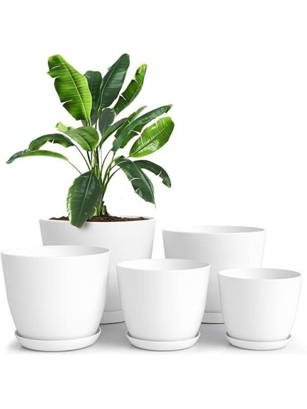 5X Plant Pots Drainage Home Decor Flower Indoor Planter Cactus, Succulents White